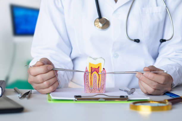 Best Emergency Wisdom Tooth Extraction in Sidney, IL
